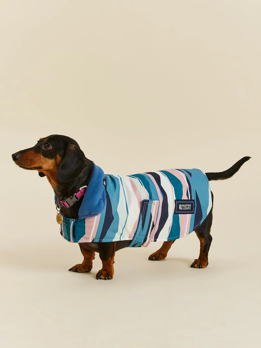 Alva Dogs Coat