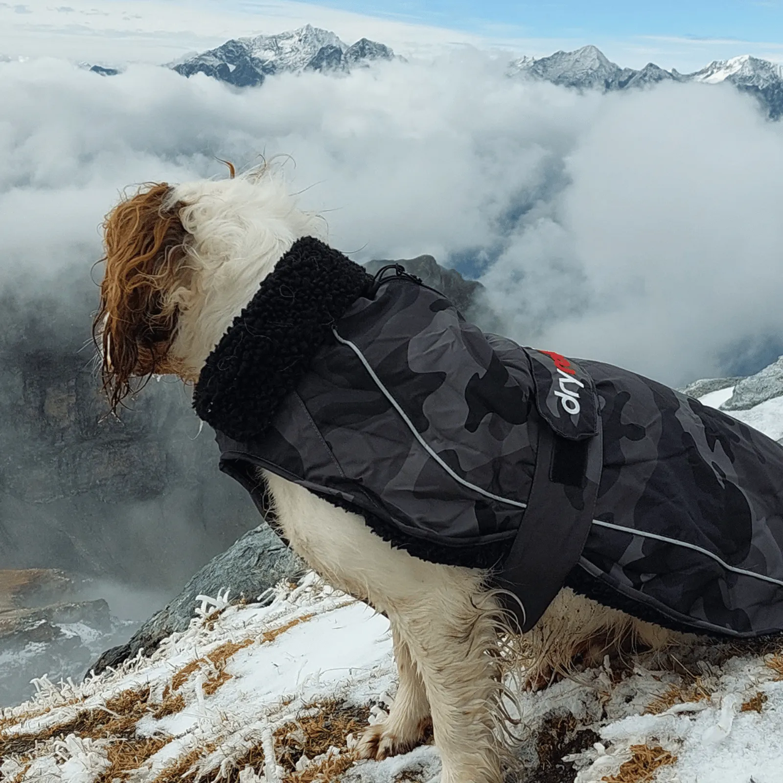 dryrobe Dog Robe Coat
