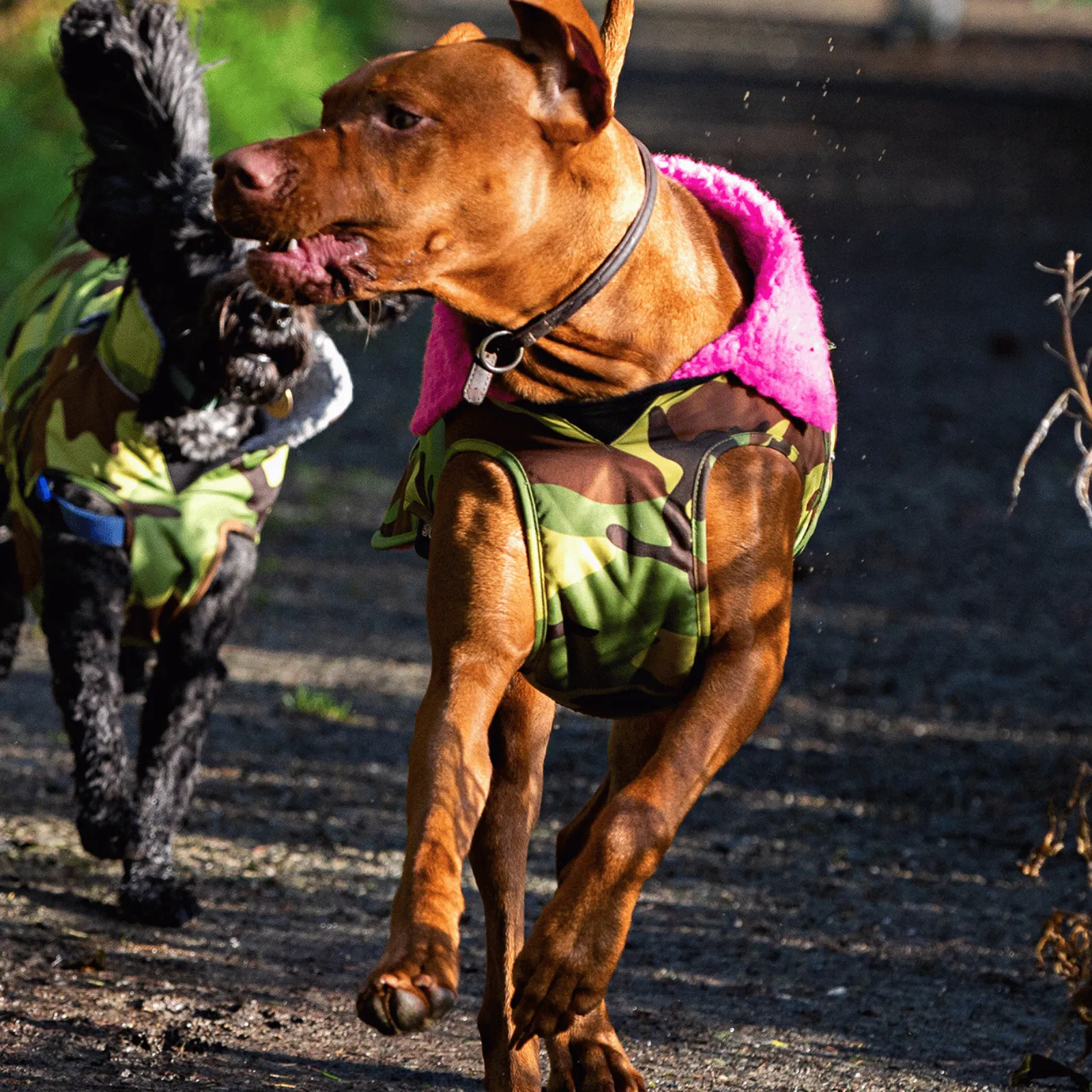 dryrobe Dog Robe Coat