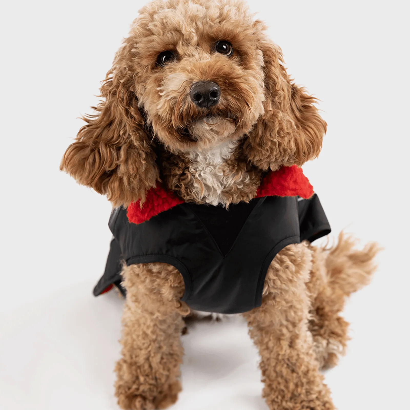 dryrobe Dog Robe Coat