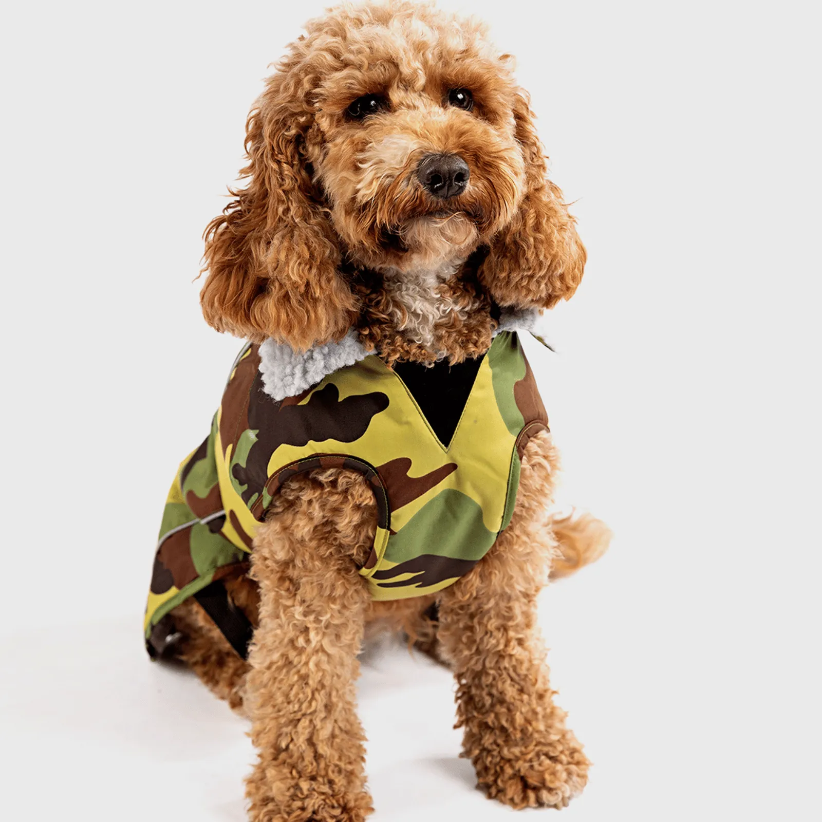 dryrobe Dog Robe Coat