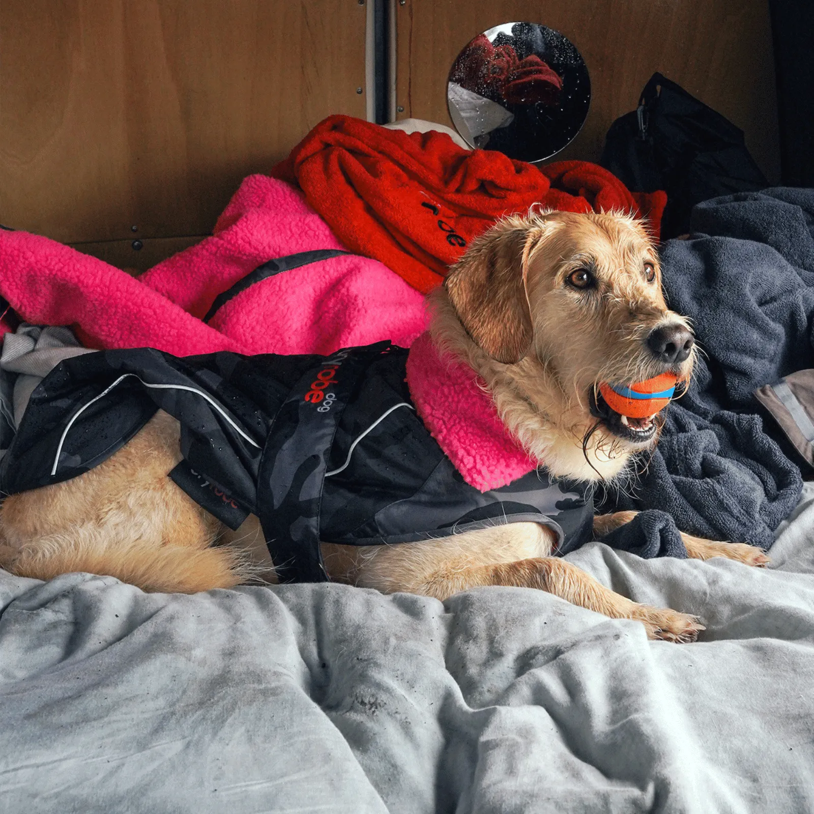 dryrobe Dog Robe Coat