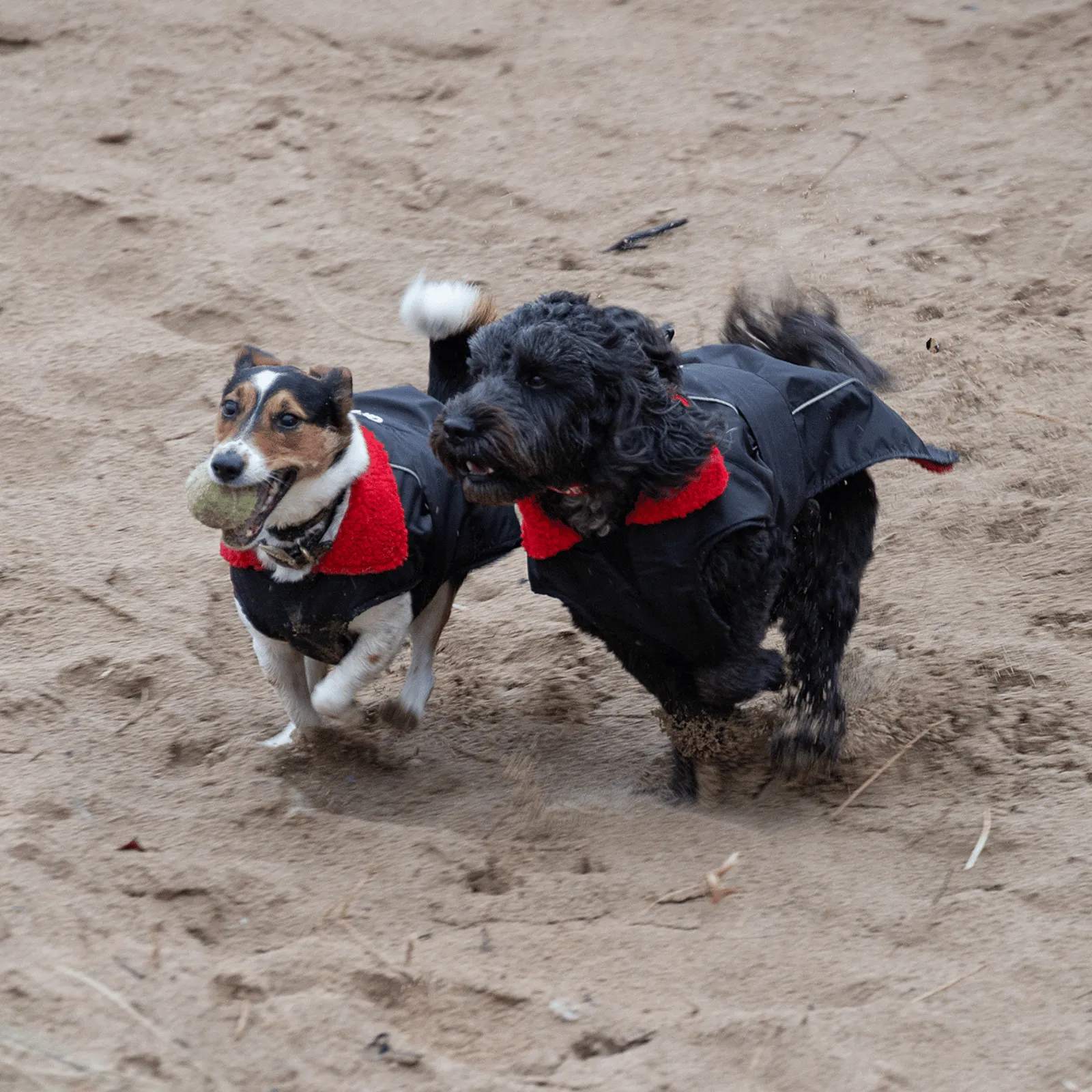 dryrobe Dog Robe Coat