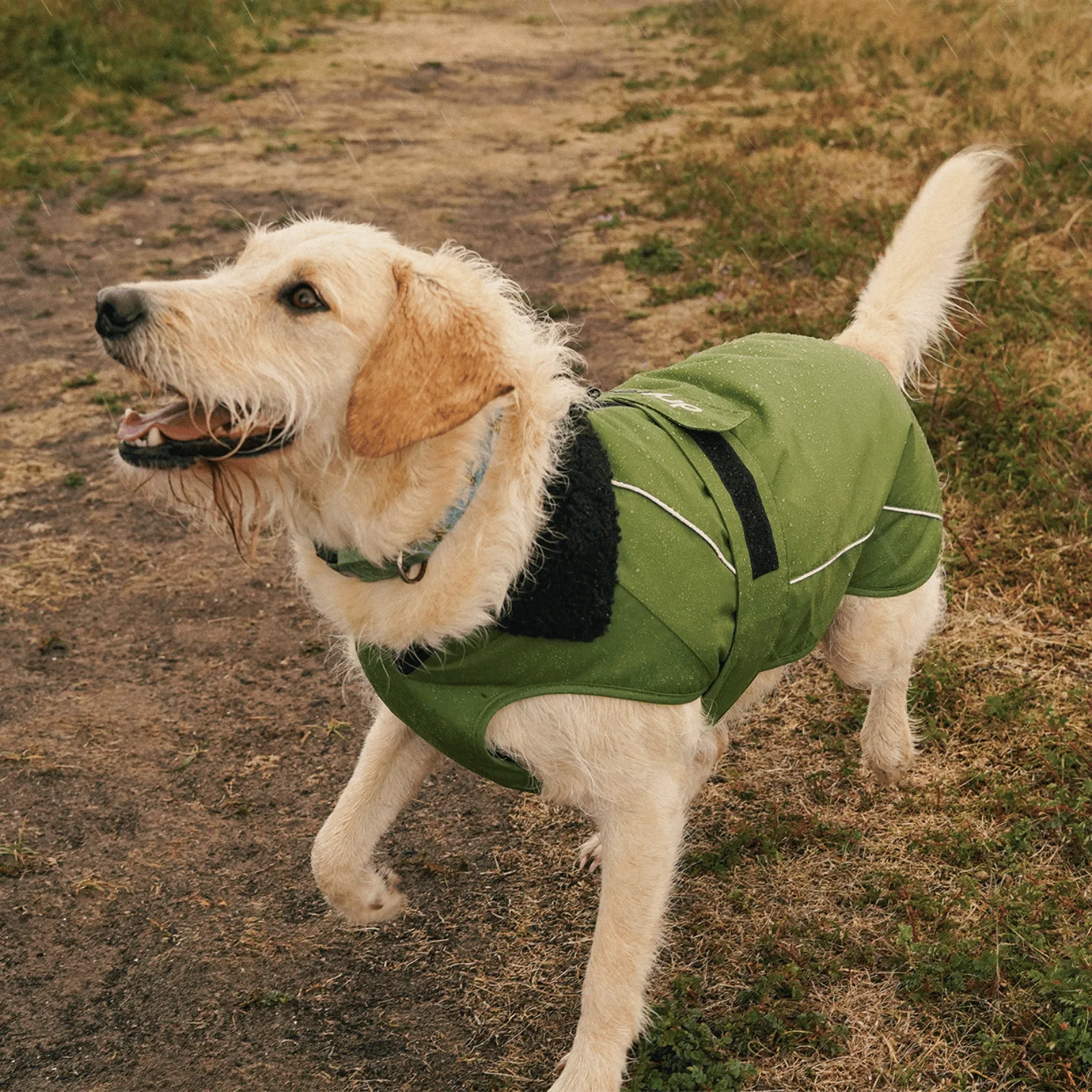 dryrobe Dog Robe Coat