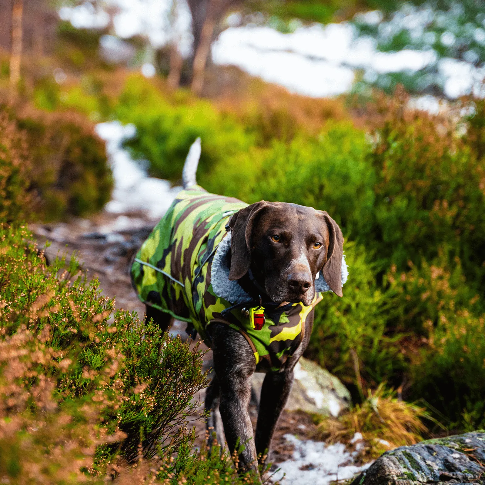 dryrobe Dog Robe Coat