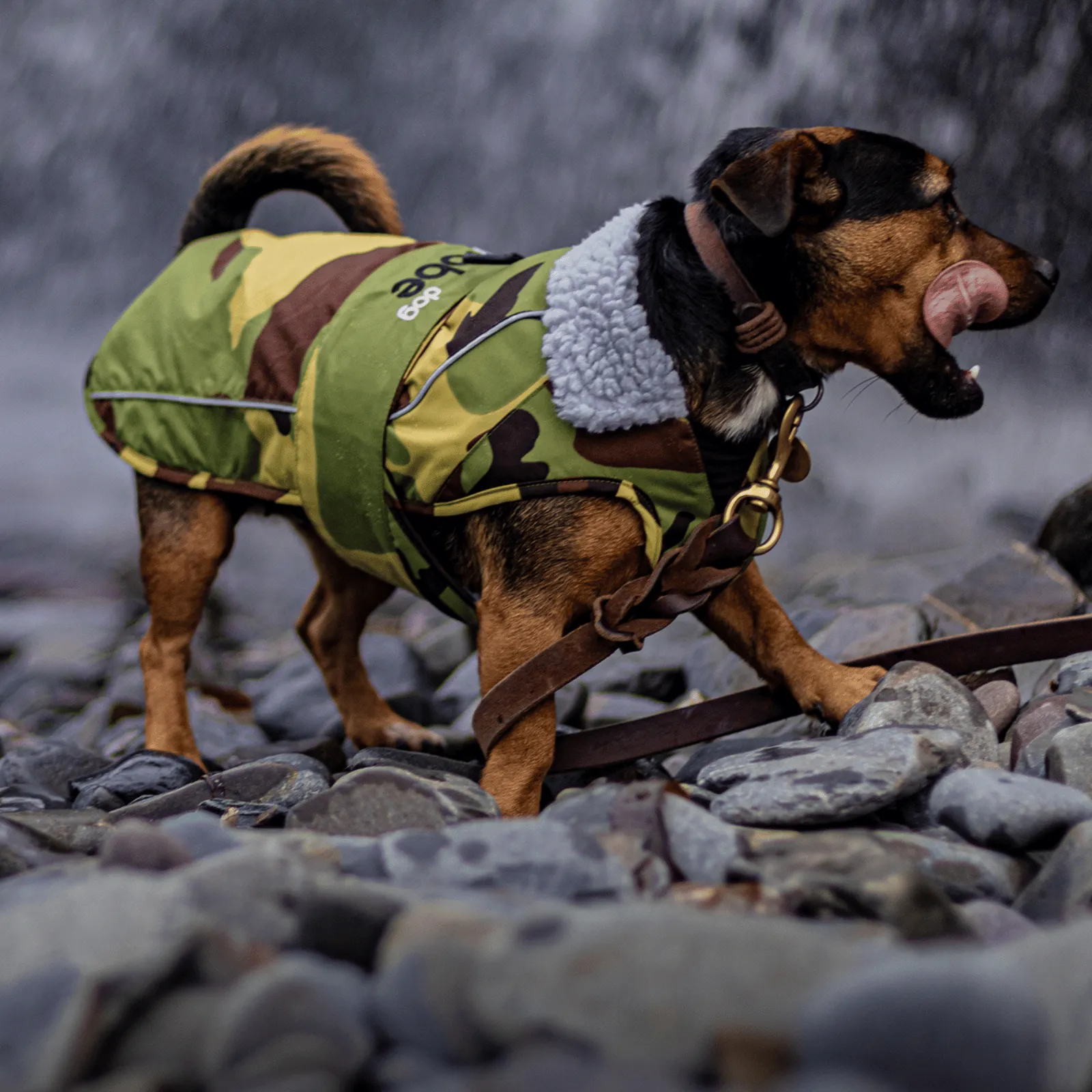 dryrobe Dog Robe Coat