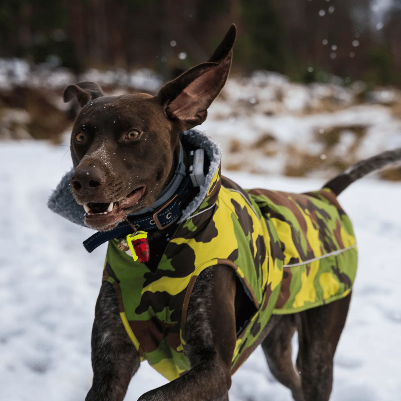 dryrobe Dog Robe Coat