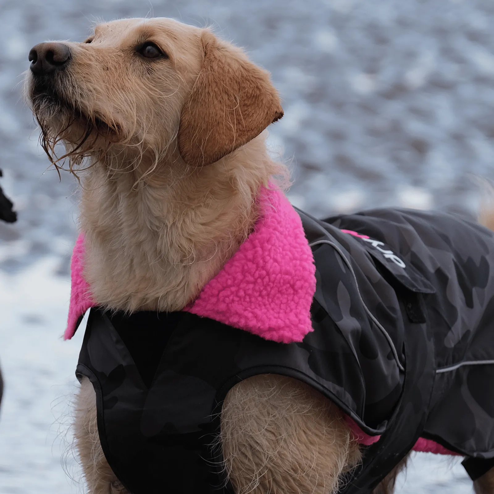 dryrobe Dog Robe Coat