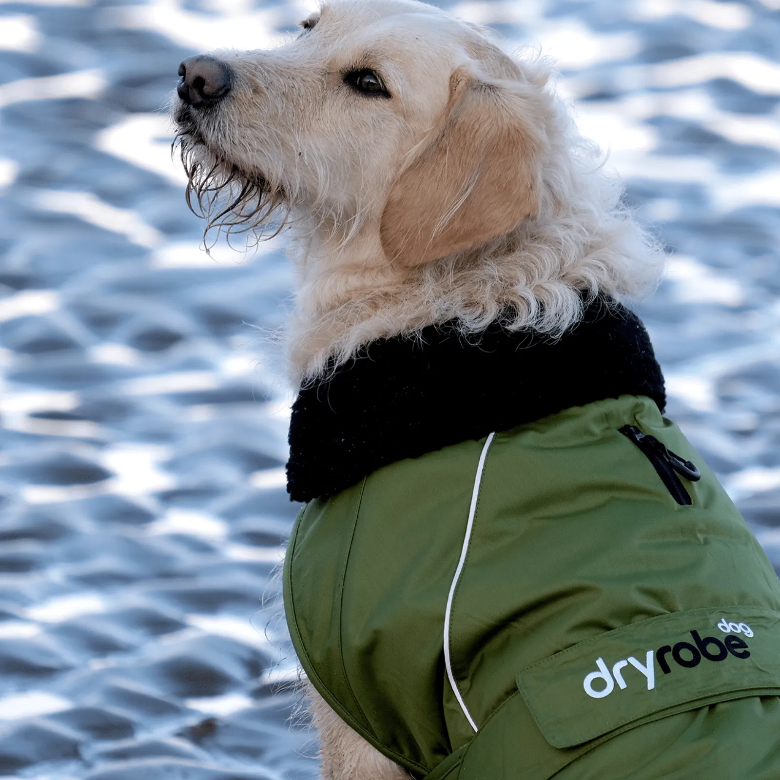 dryrobe Dog Robe Coat