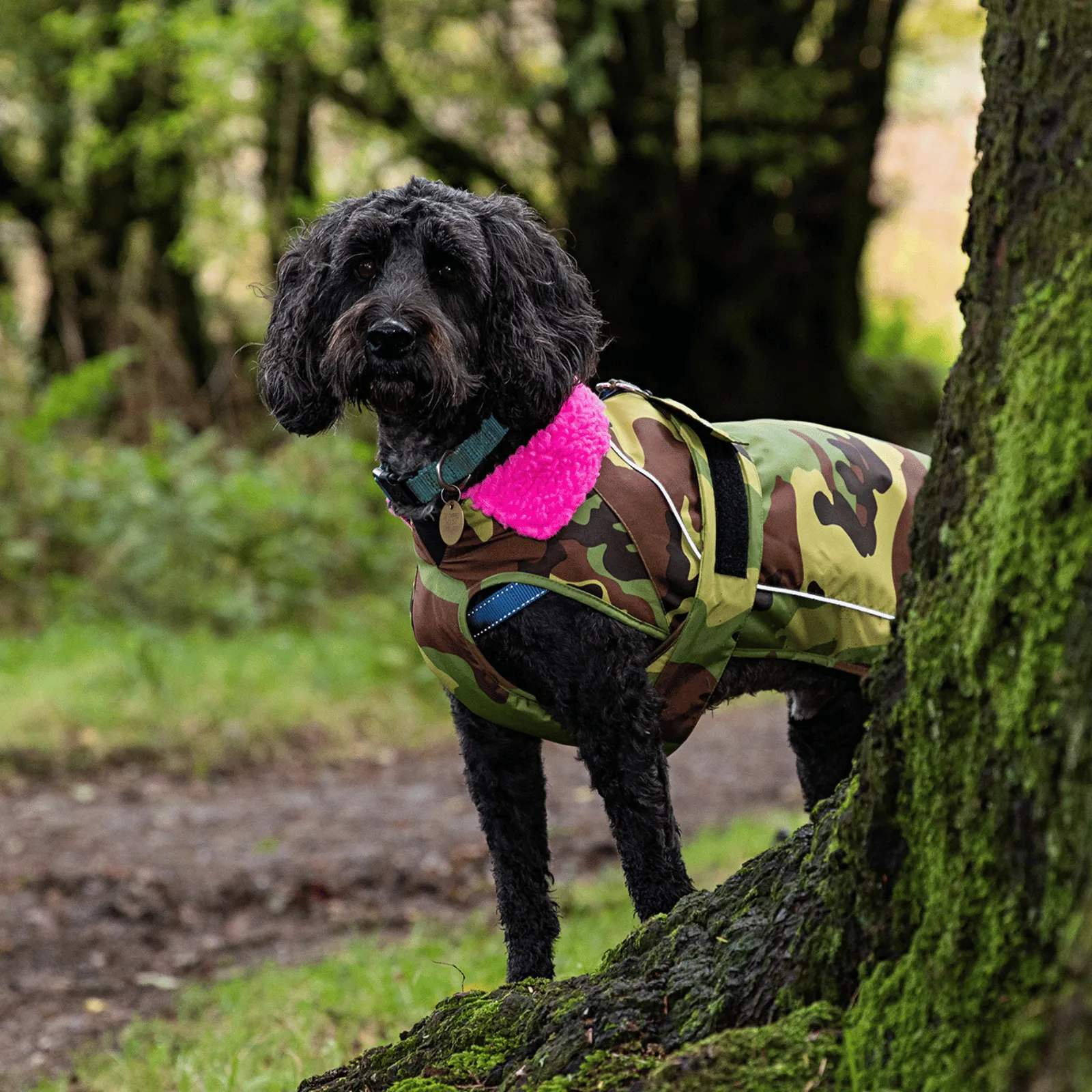 dryrobe Dog Robe Coat
