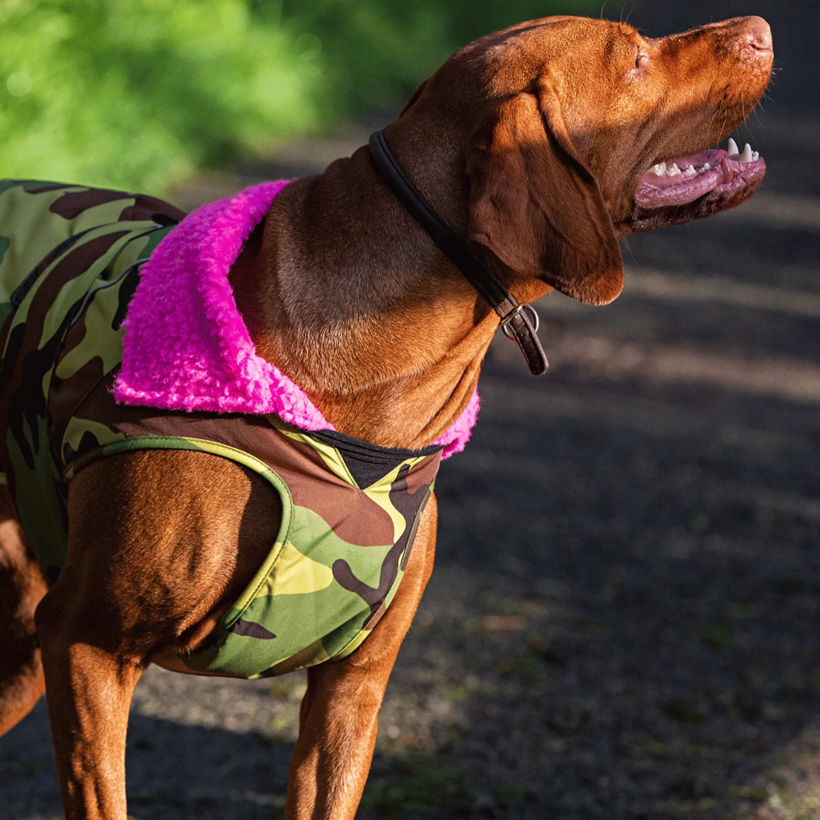 dryrobe Dog Robe Coat