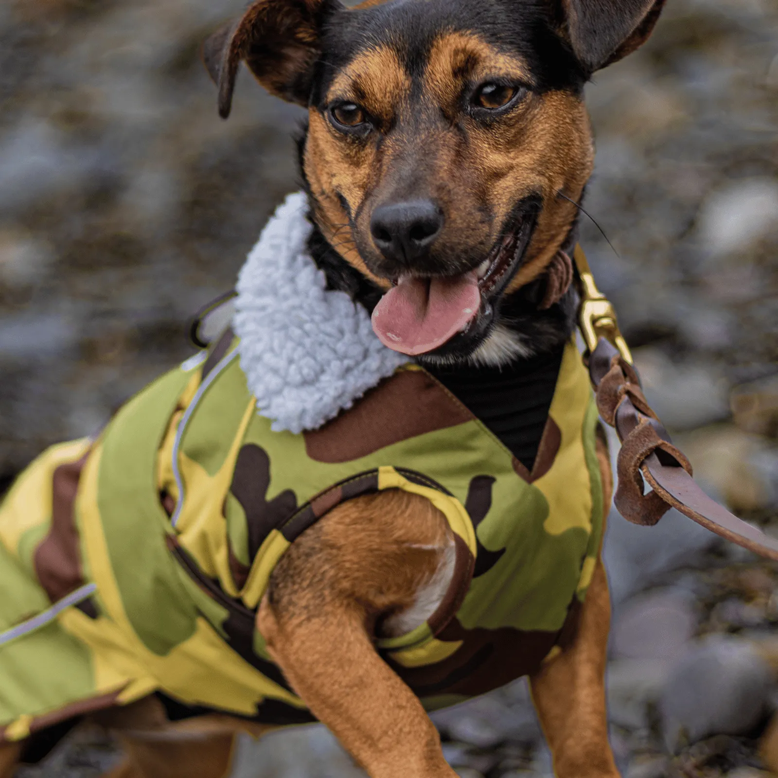 dryrobe Dog Robe Coat