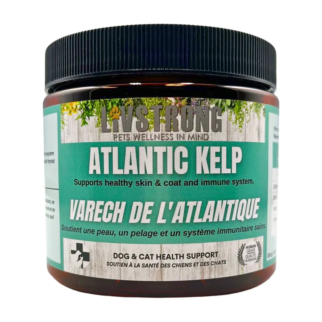 Livstrong Atlantic Kelp Powder 250g