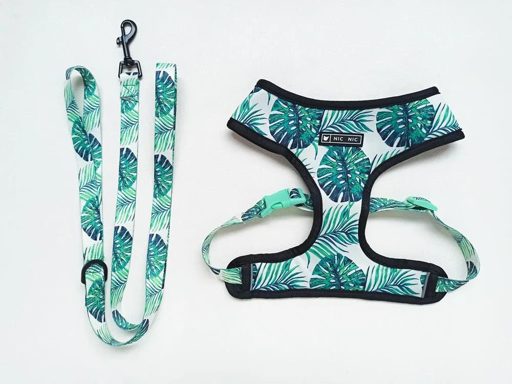 Small Dogs Harness - Tropical Color