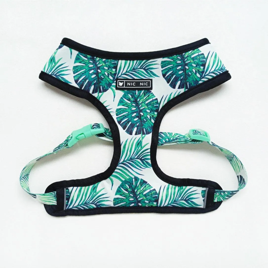 Small Dogs Harness - Tropical Color
