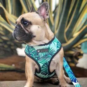 Small Dogs Harness - Tropical Color