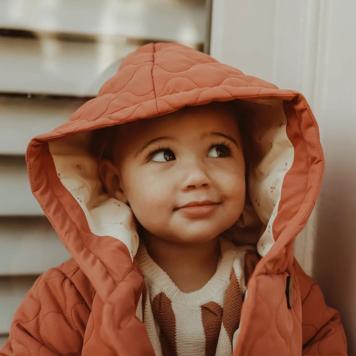 Your Wishes Jas Osta | Quilted Jacket